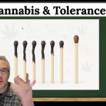 cannabis tolerance explained